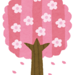 桜って何種類ぐらいある？