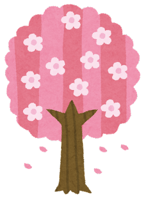 桜って何種類ぐらいある？
